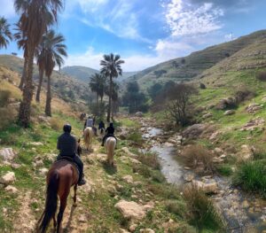 Paradise Valley - Day & Night Adventure