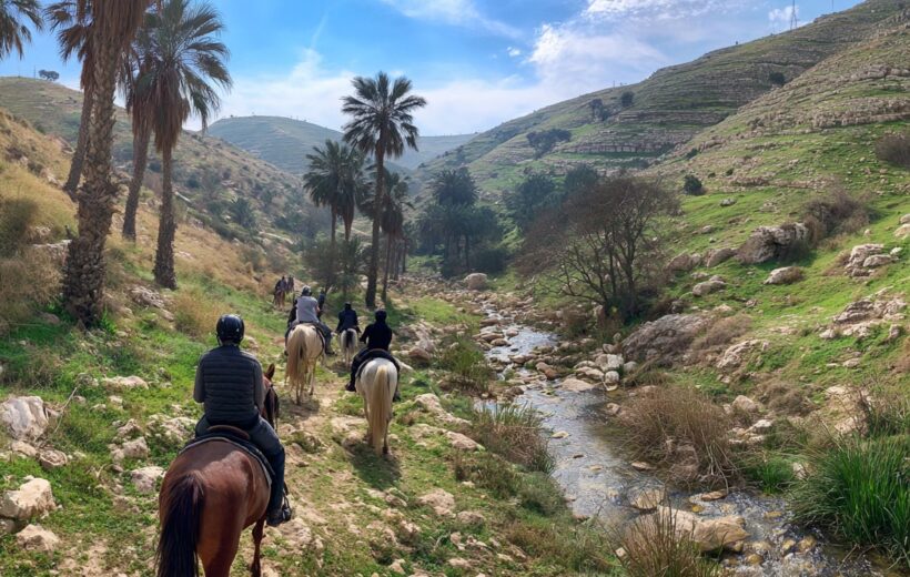 Paradise Valley - Day & Night Adventure