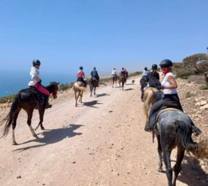 Horse Riding Experience