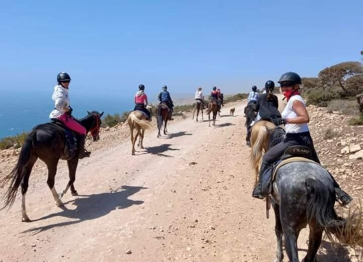 Horse Riding Experience