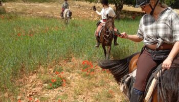 Horse riding group in Morocco Atlas Mountains 7 day tour